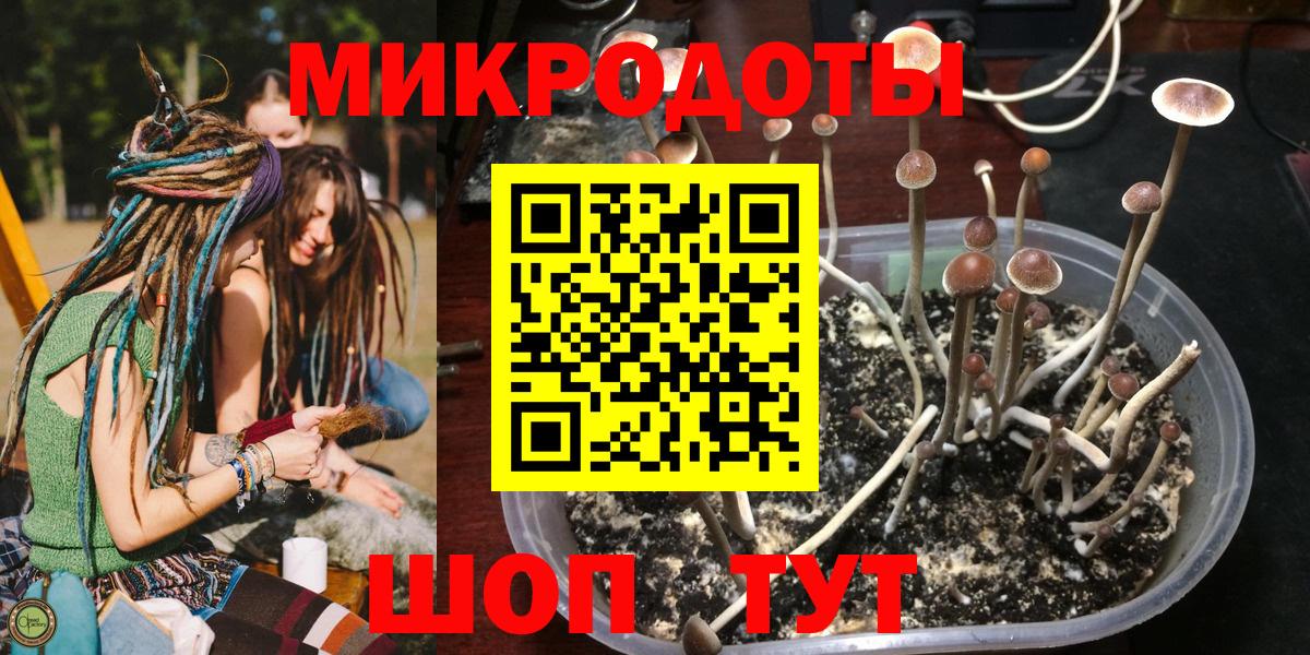 Черногорск  Галлюциногенные грибы ЛСД  Вход с VPN  дарнет шоп  Псилоцибиновые грибы Psilocybe 